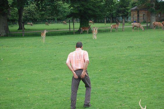 DSC_0104 [50%] [50%].JPG